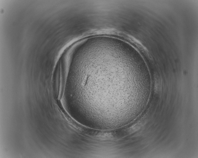 X0000063481174200601231339