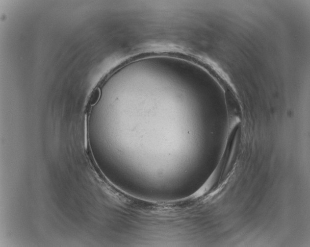 X0000063481175200601231339