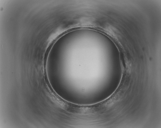 X0000063481176200601231339