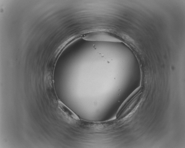 X0000063481177200601231339