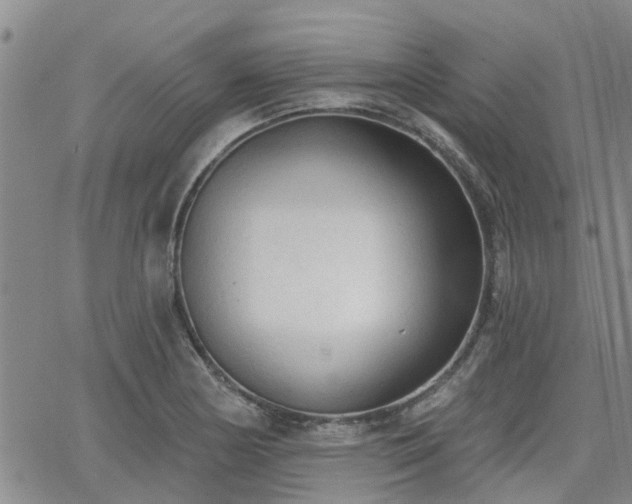 X0000063481178200601231339