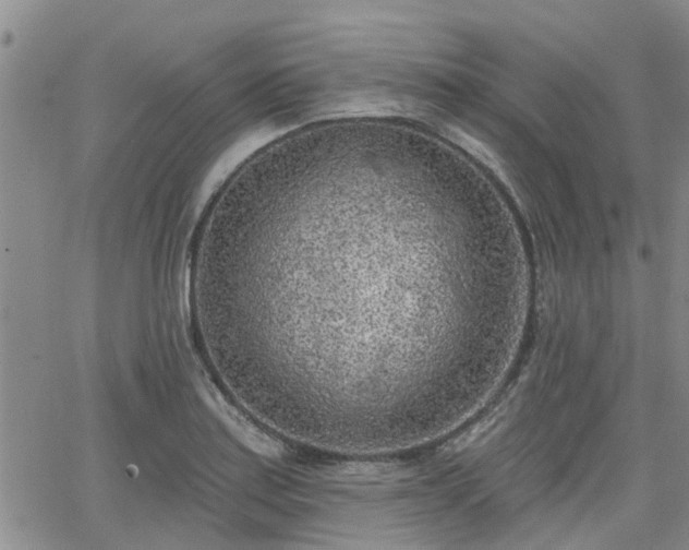 X0000063481179200601231339