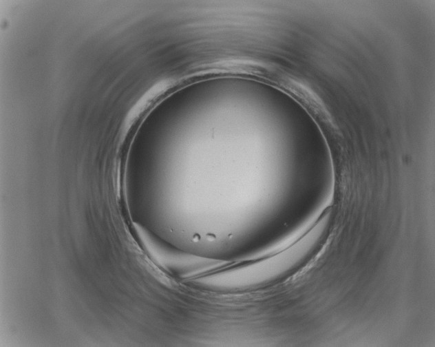 X0000063481180200601231339