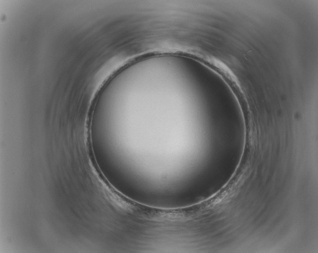 X0000063481183200601231339