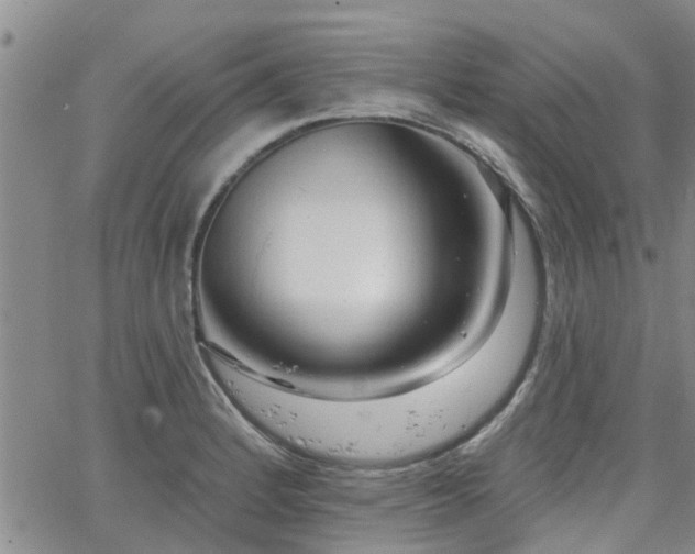 X0000063481184200601231339