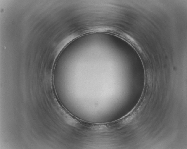 X0000063481186200601231339