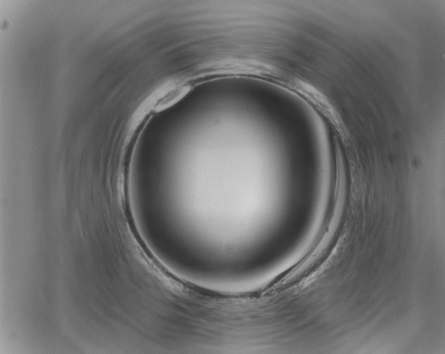 X0000063481188200601231339