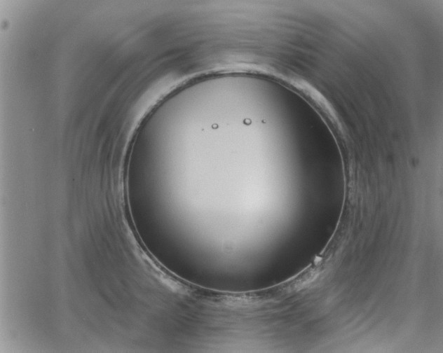 X0000063481191200601231339