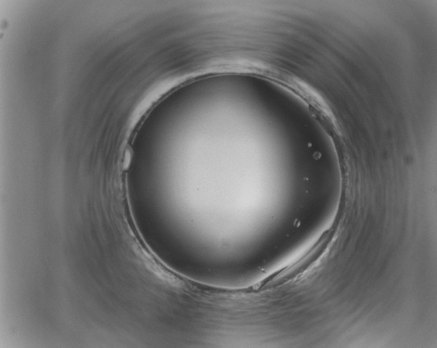 X0000063481192200601231339