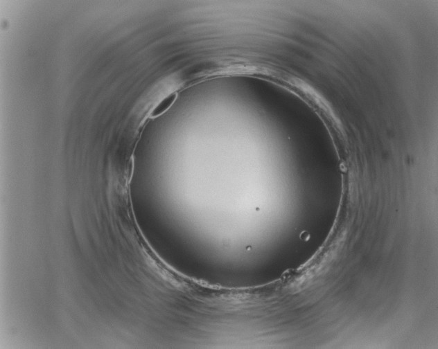 X0000063481193200601231339