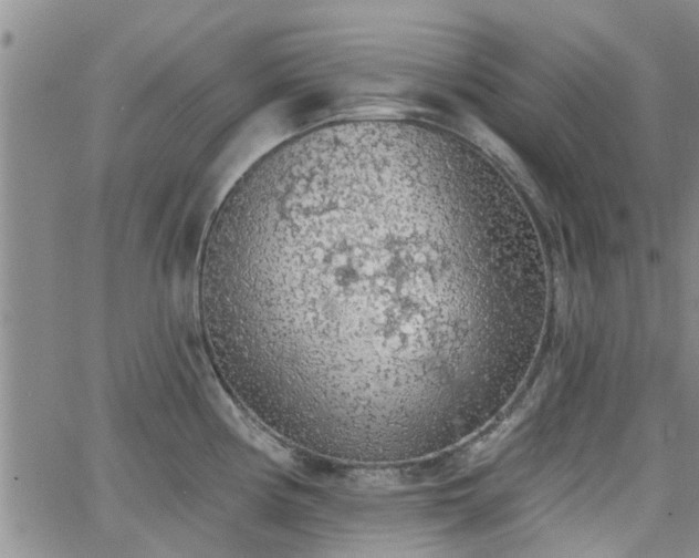 X0000063481194200601231339