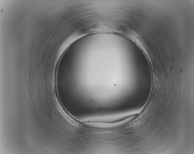 X0000063481195200601231339