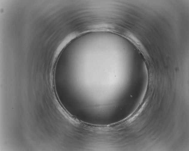 X0000063481196200601231339