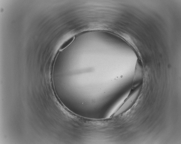 X0000063481197200601231339