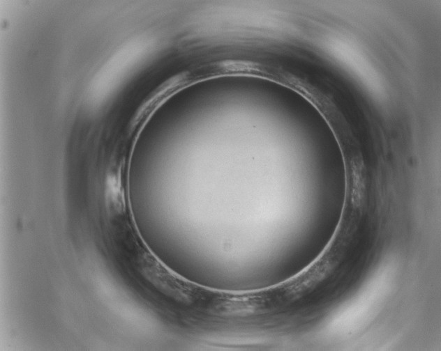 X0000063481198200601231339