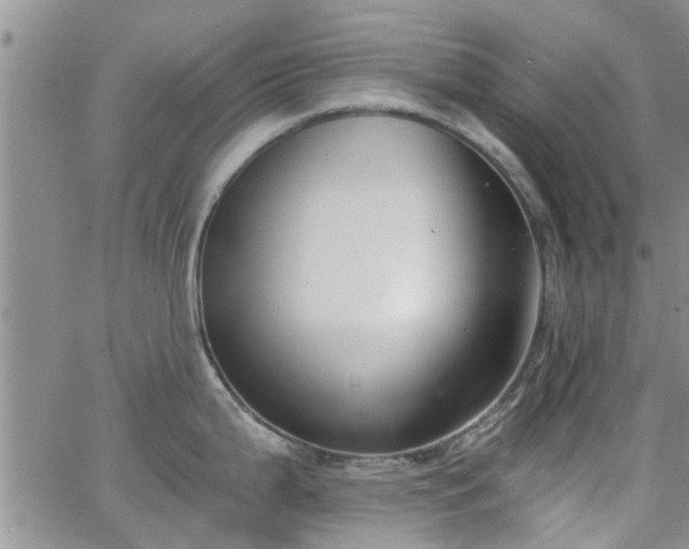 X0000063481199200601231339