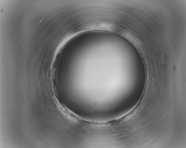 X0000063481200200601231339