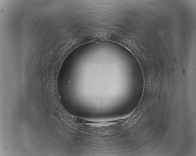 X0000063481201200601231338