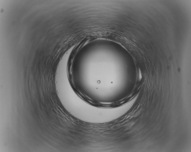 X0000063481202200601231338