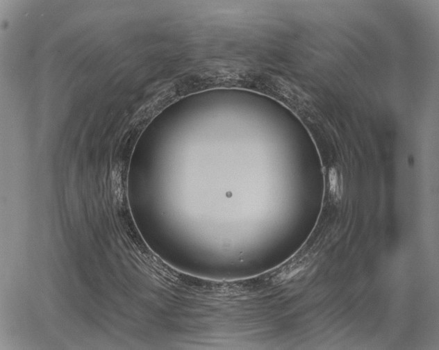 X0000063481203200601231338