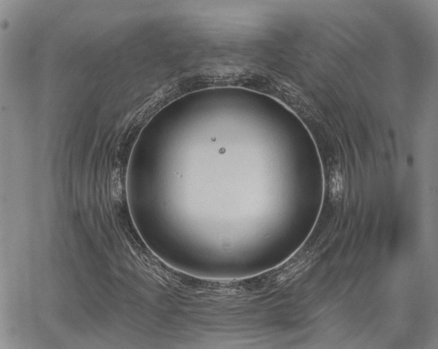 X0000063481204200601231338