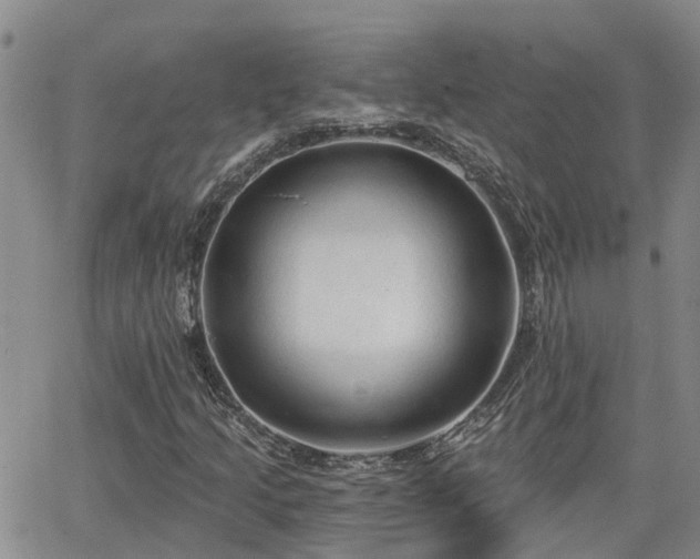 X0000063481205200601231338