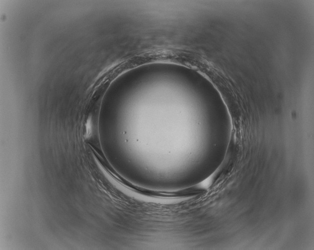 X0000063481206200601231338