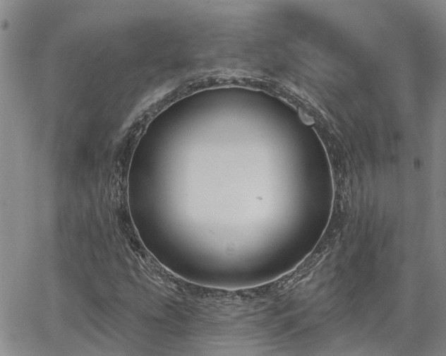 X0000063481207200601231338