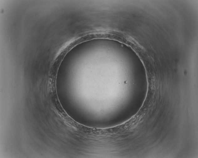 X0000063481208200601231338