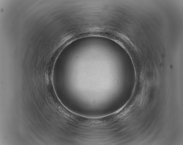 X0000063481209200601231338