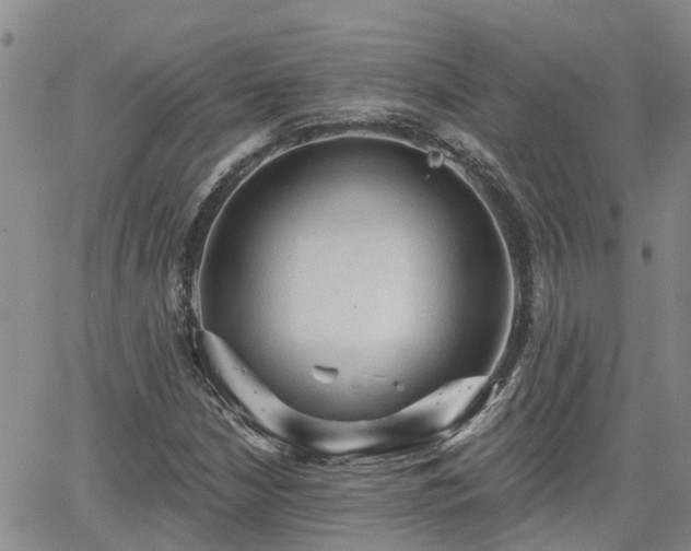 X0000063481210200601231338