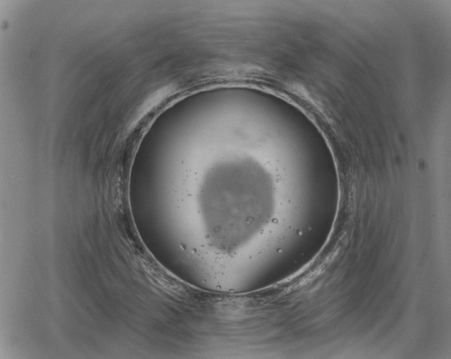 X0000063481211200601231338