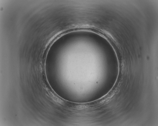 X0000063481212200601231338