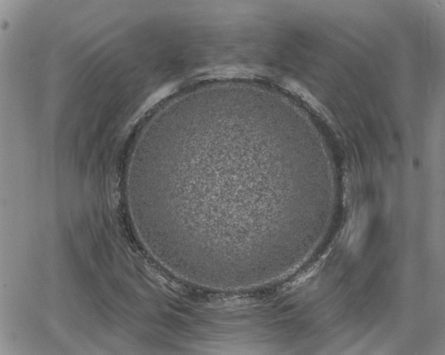 X0000063481213200601231338