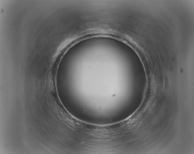 X0000063481215200601231338