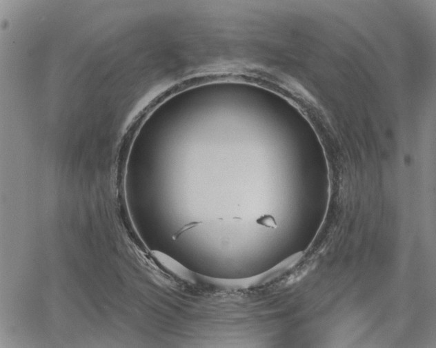 X0000063481216200601231338