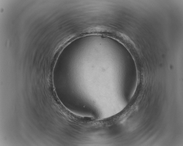 X0000063481217200601231338