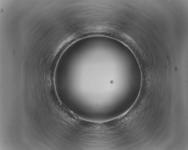 X0000063481218200601231338