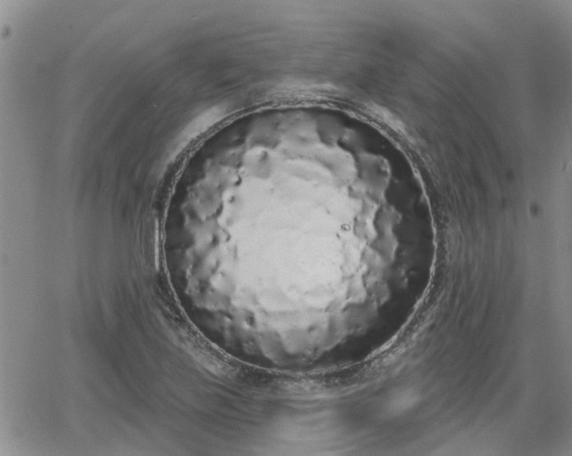 X0000063481219200601231338