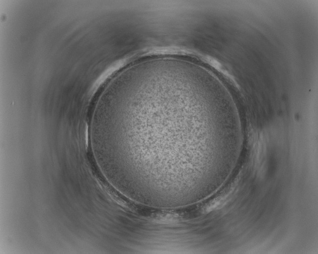 X0000063481221200601231338