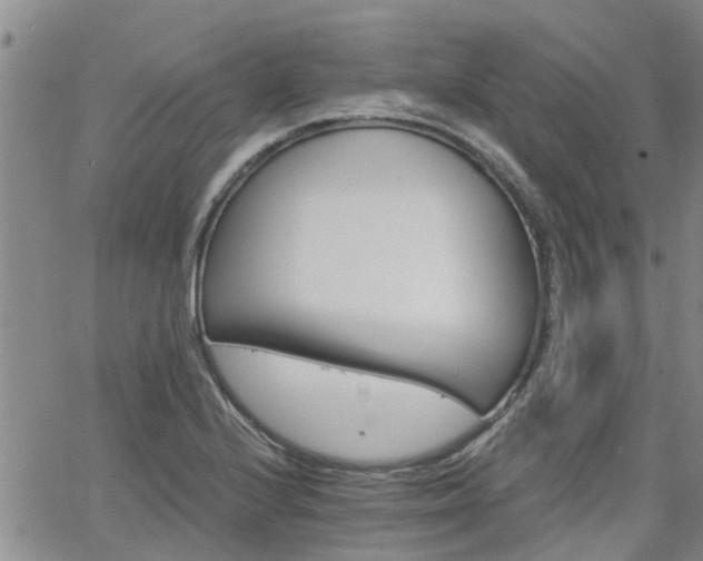 X0000063481224200601231338