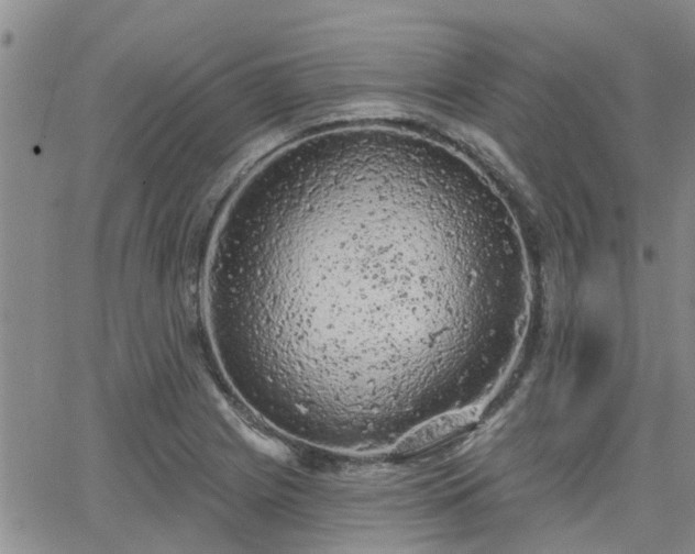 X0000063481225200601231338