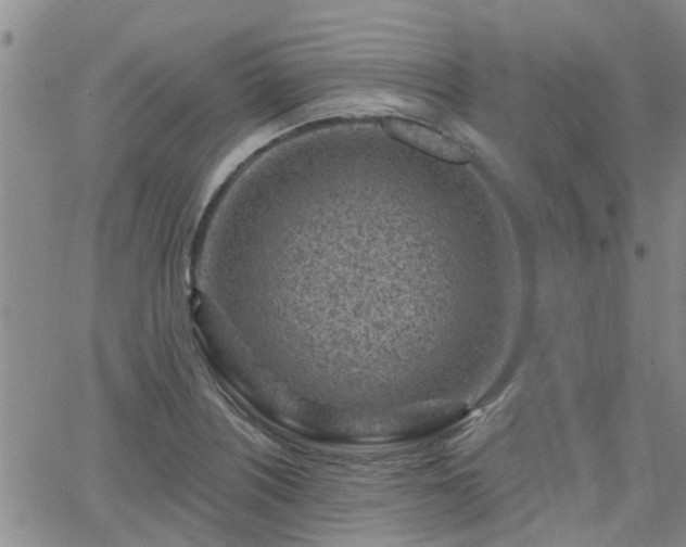 X0000063481226200601231338