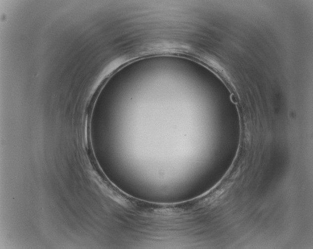 X0000063481227200601231338