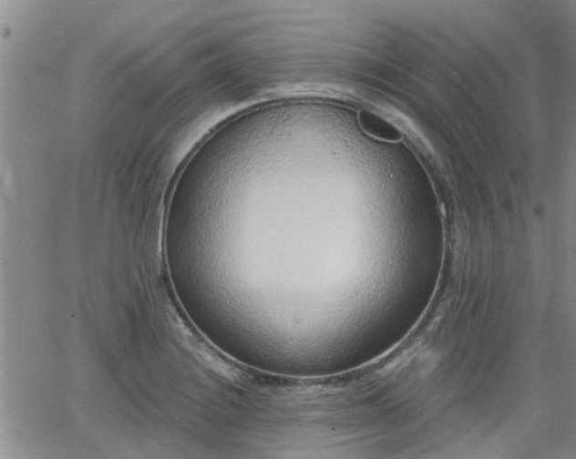 X0000063481228200601231338