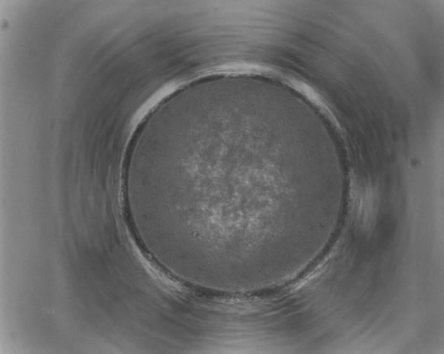 X0000063481229200601231338