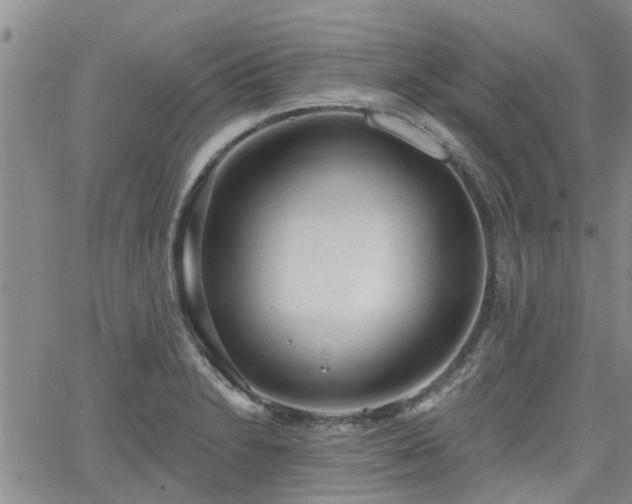 X0000063481230200601231339