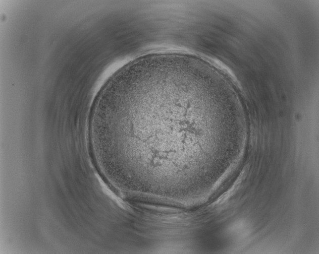 X0000063481231200601231339