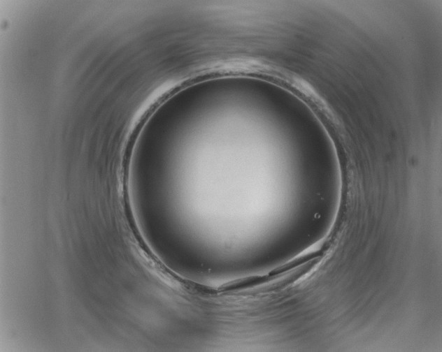 X0000063481232200601231339