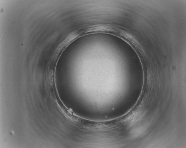 X0000063481233200601231339